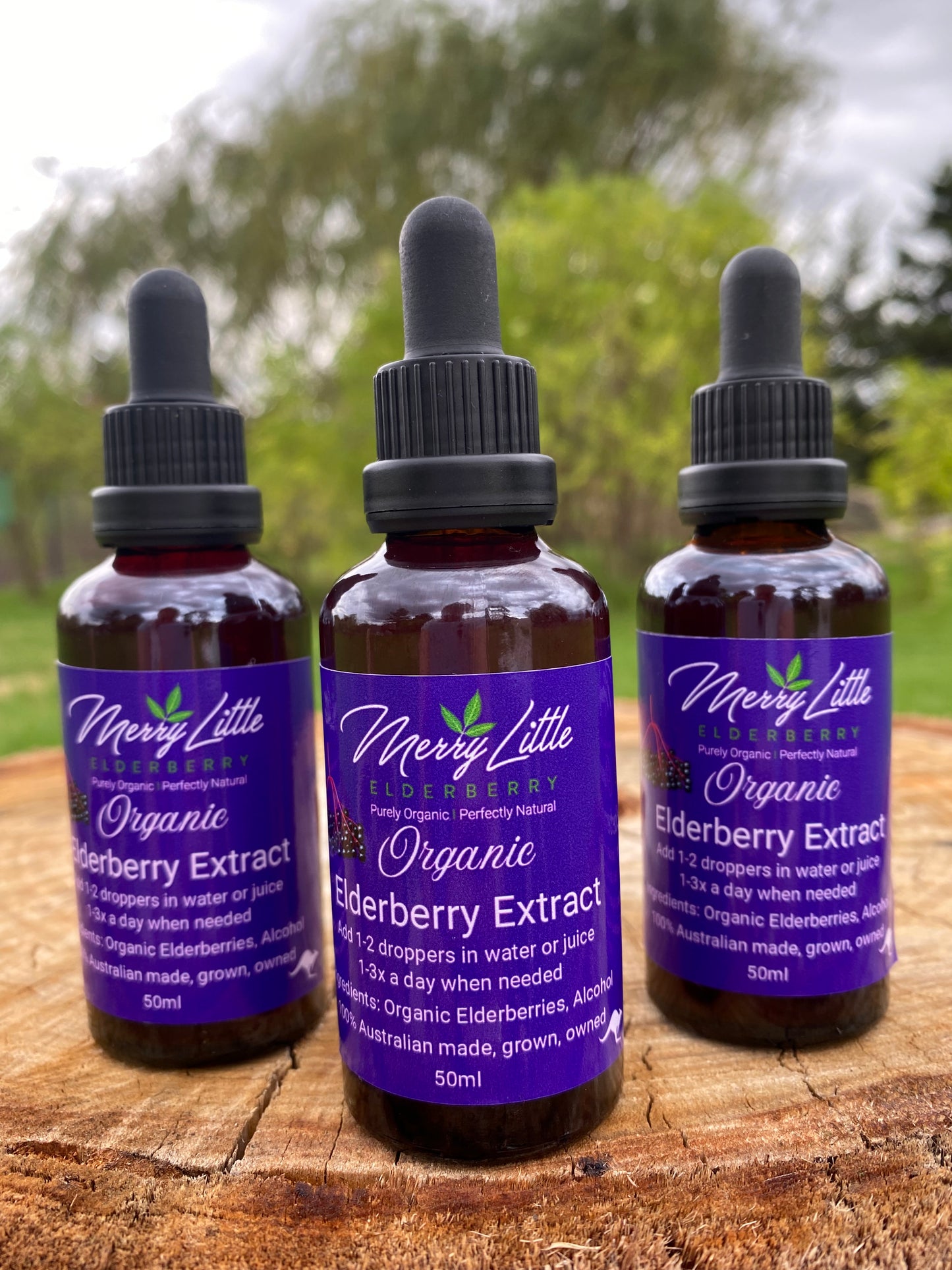 Buy Organic Elderberry Extract 50ml – Grown in High-Altitude Tingha | Merry Little Elderberry