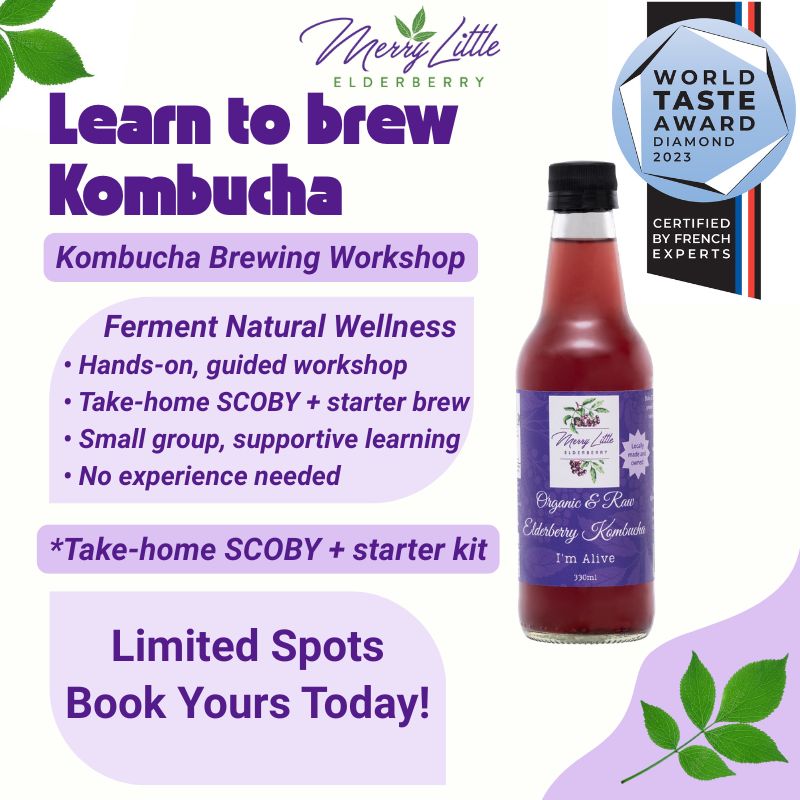 Kombucha Brewing Workshop – Learn to Brew at Home