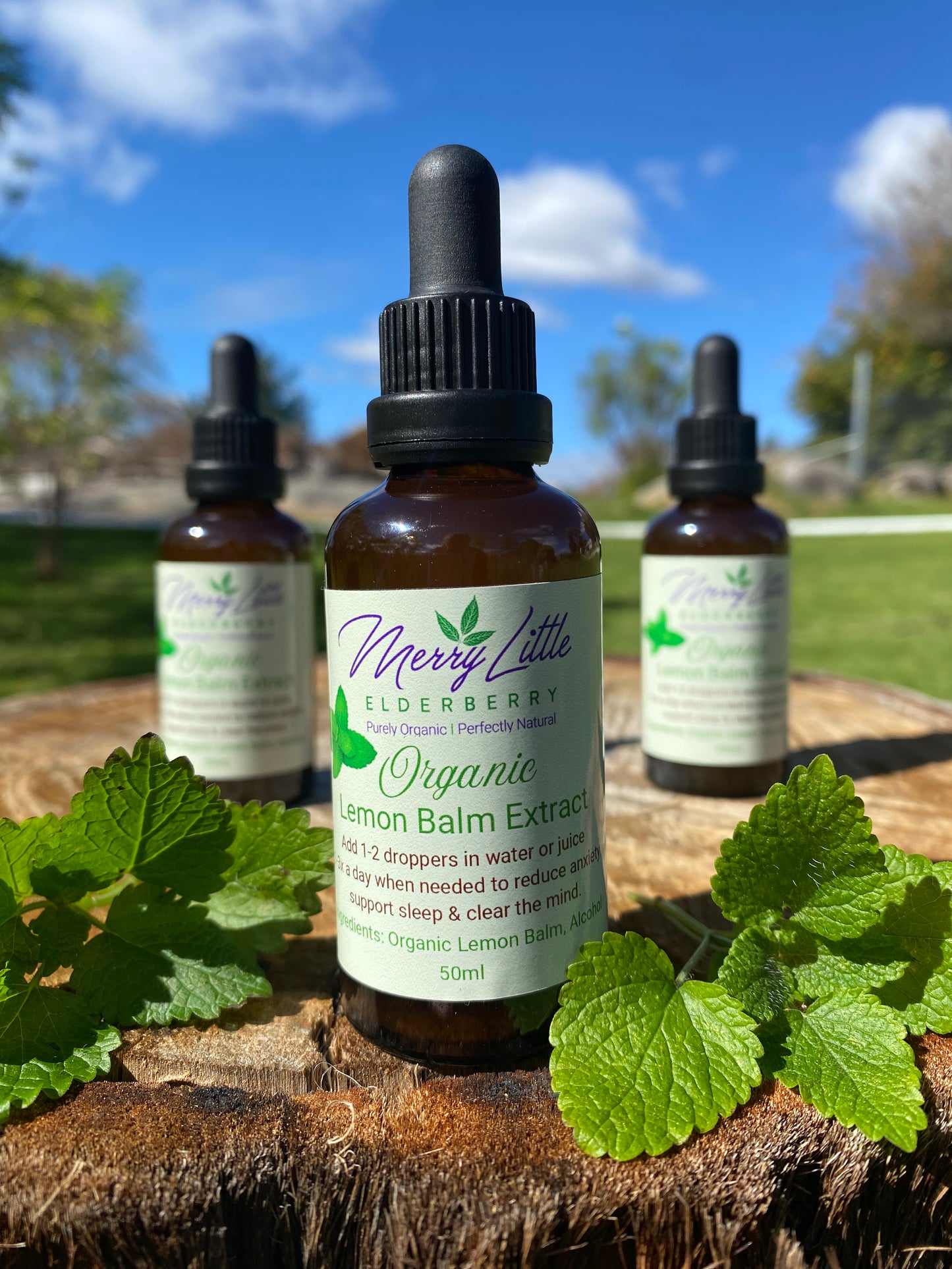Organic Lemon Balm Extract 50ml – Calming & Sleep Support | Merry Little Elderberry