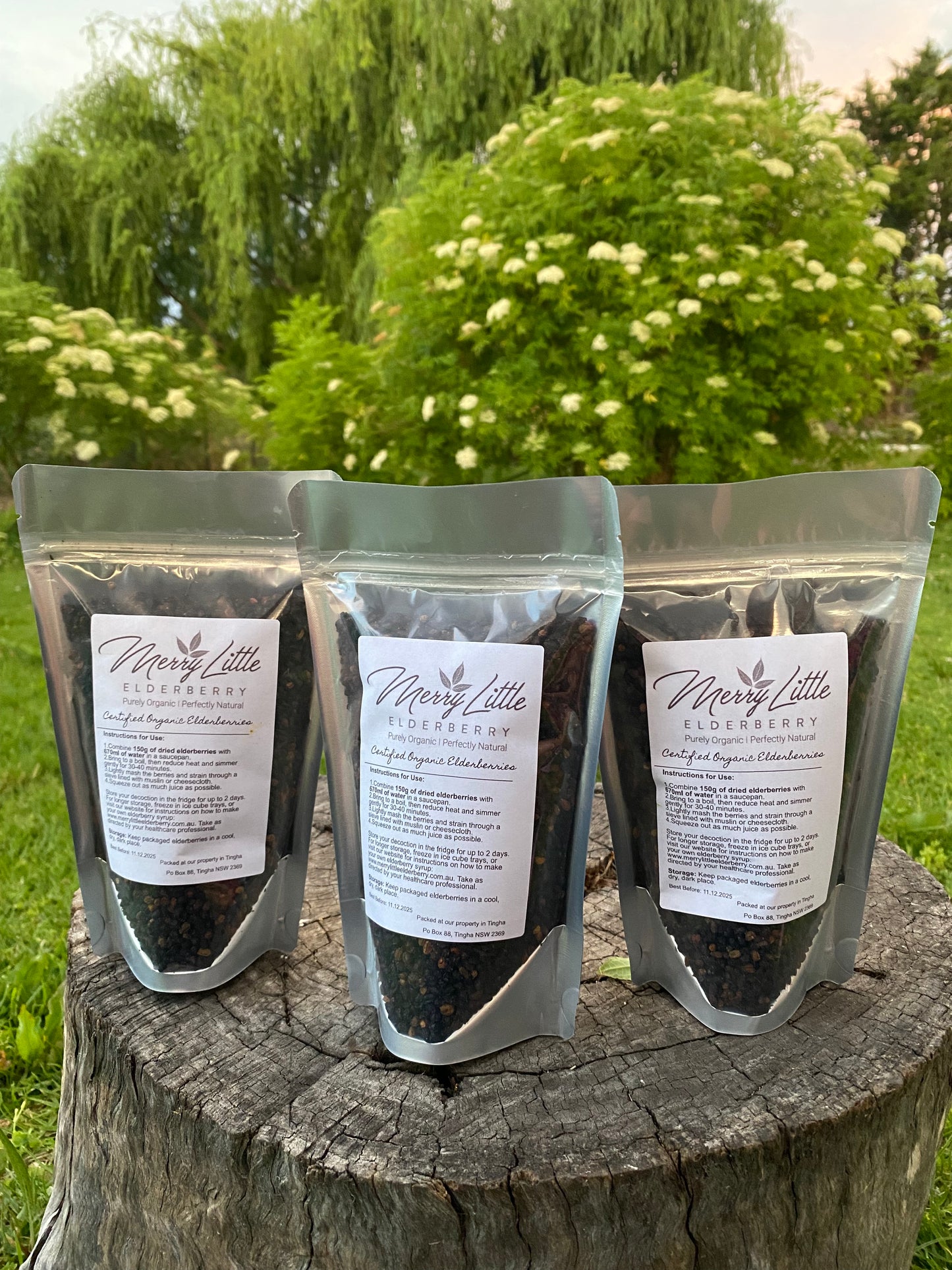 Buy Certified Organic Elderberries – 150g | Merry Little Elderberry