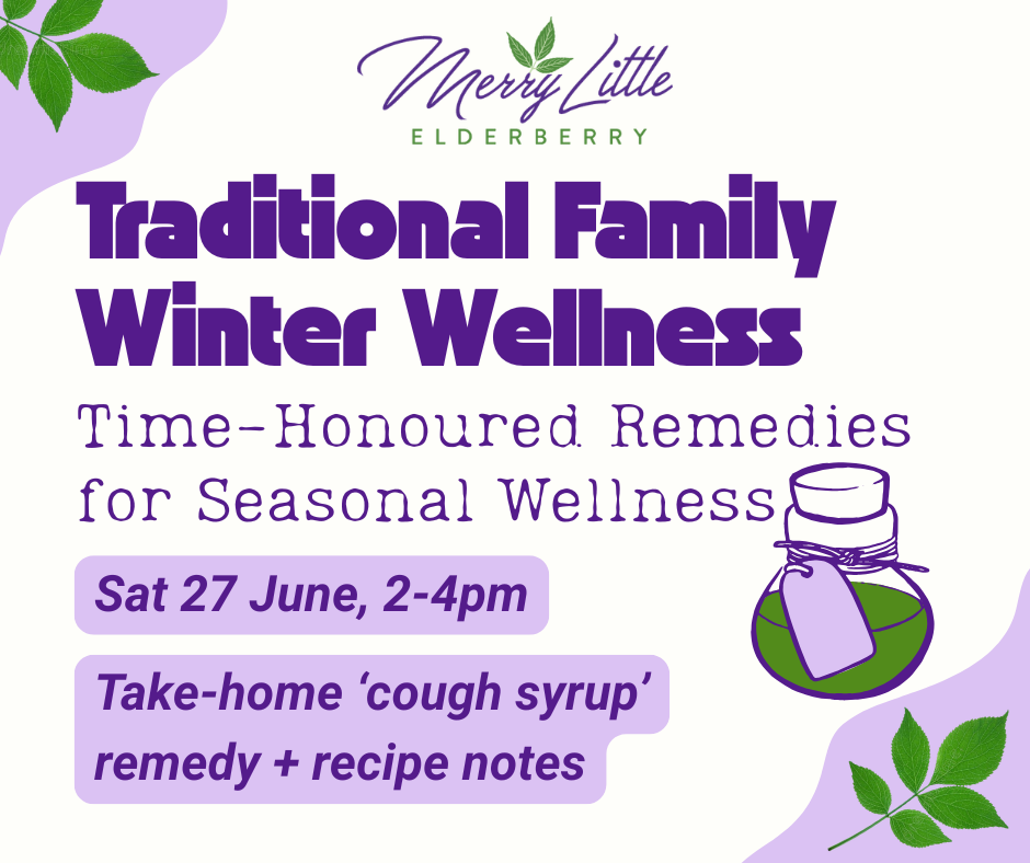 Traditional Family Winter Wellness Workshop – 27 June