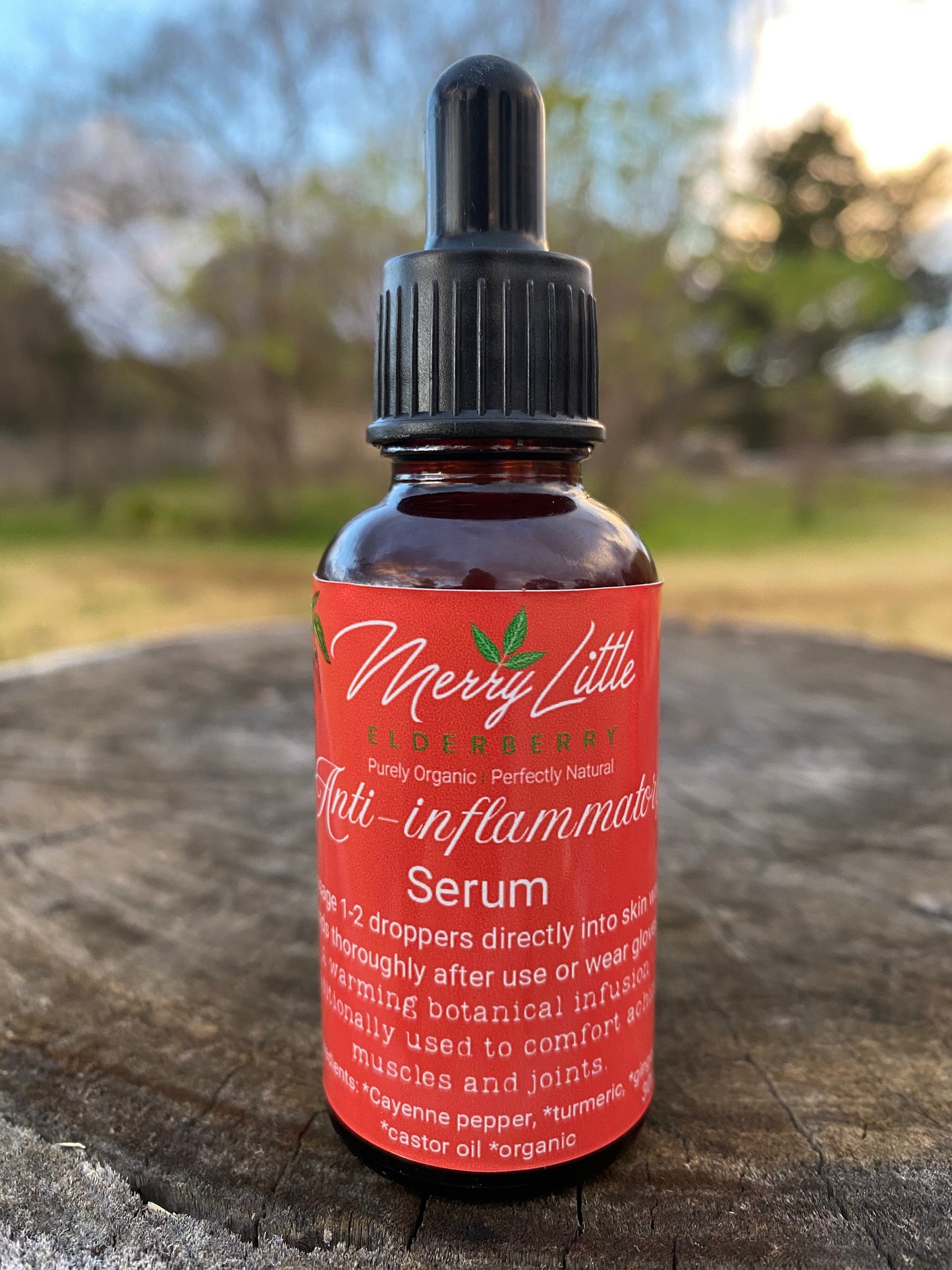 Anti-Inflammatory Spiced Serum | 30ml