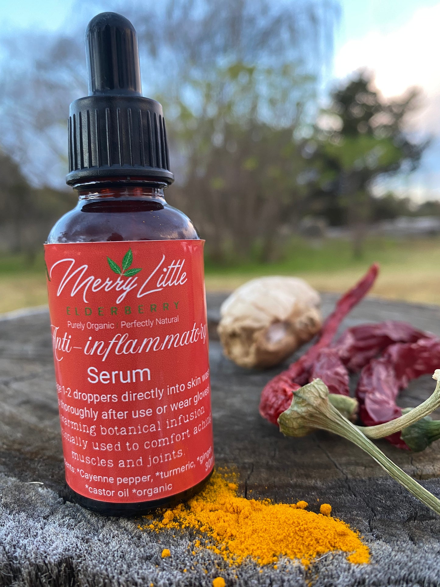 Anti-Inflammatory Spiced Serum | 30ml