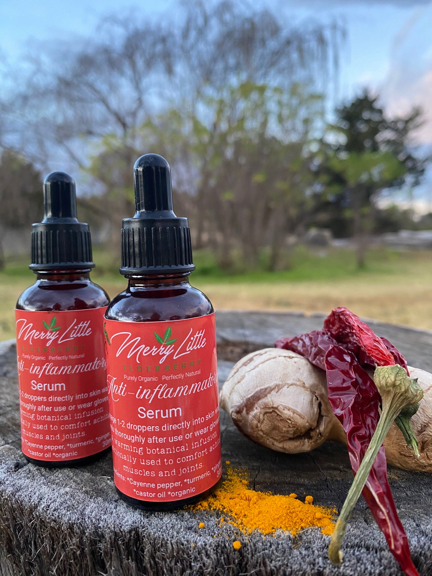 Anti-Inflammatory Spiced Serum | 30ml