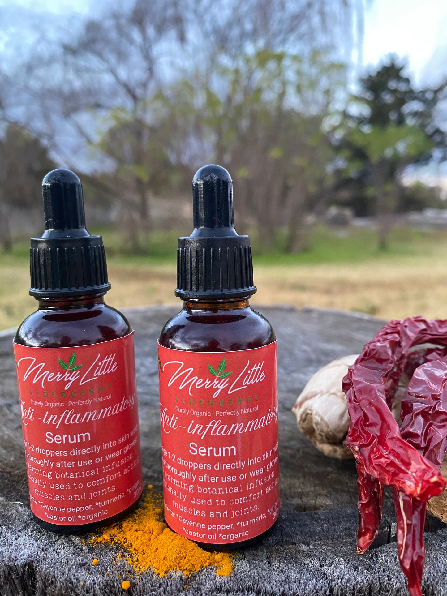 Anti-Inflammatory Spiced Serum | 30ml