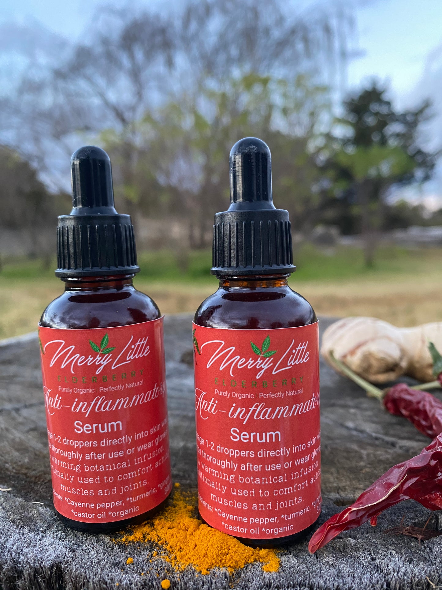 Anti-Inflammatory Spiced Serum | 30ml