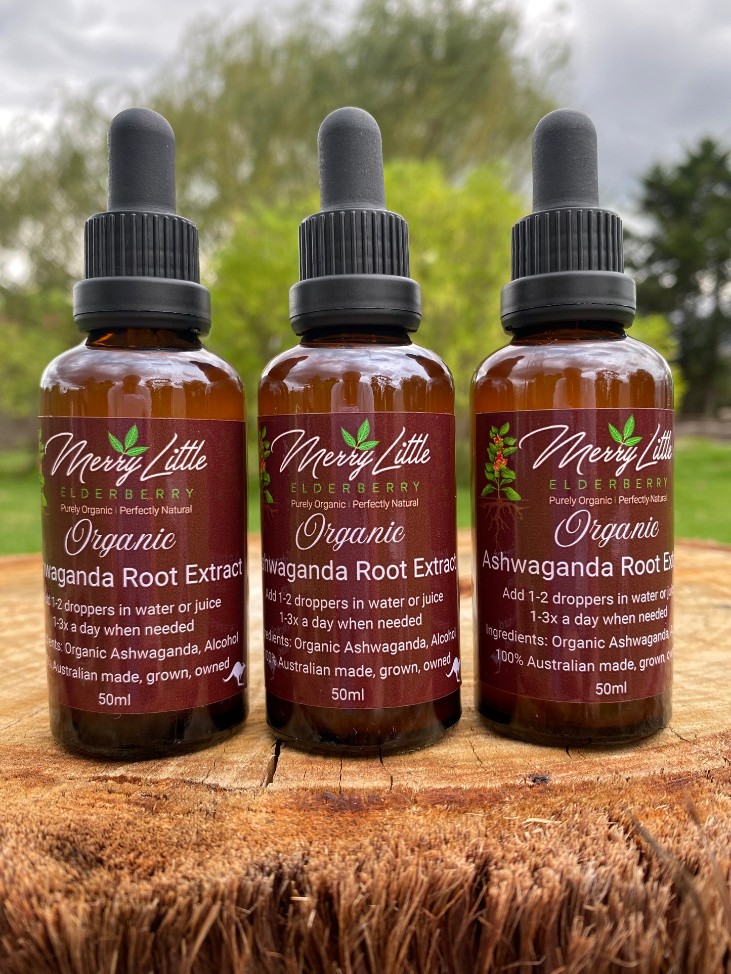 Organic Ashwagandha 50ml – Hormonal & Stress Support