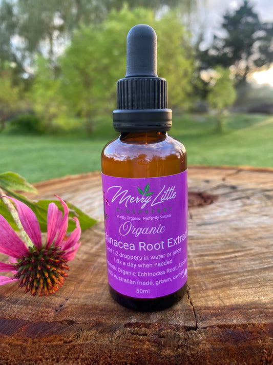 Echinacea Extract 50ml – Natural Immune Support