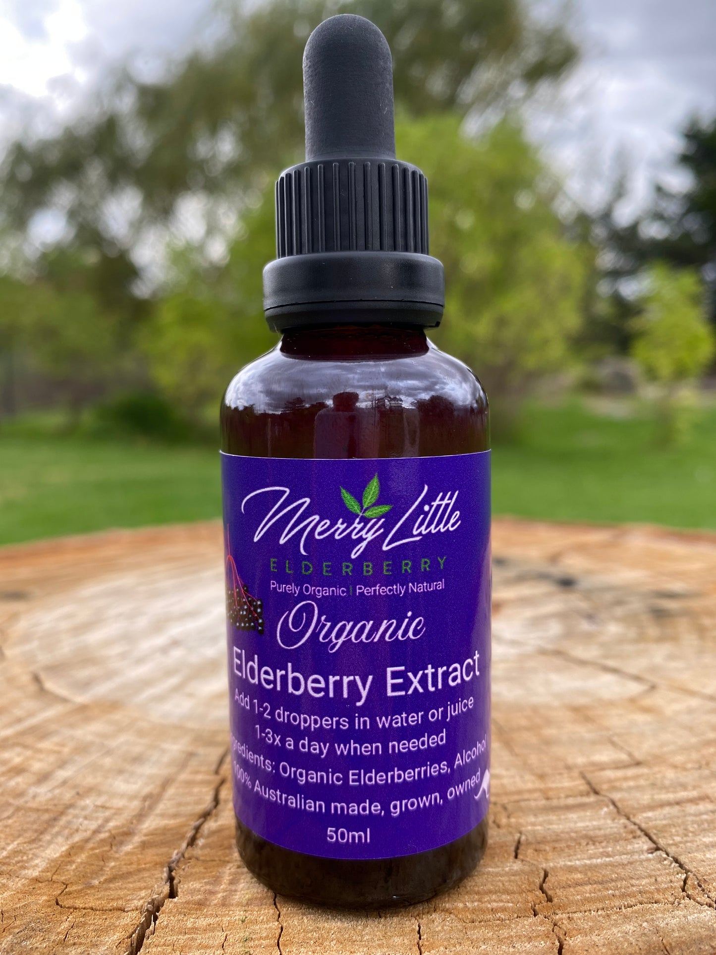 Buy Organic Elderberry Extract 50ml – Grown in High-Altitude Tingha | Merry Little Elderberry