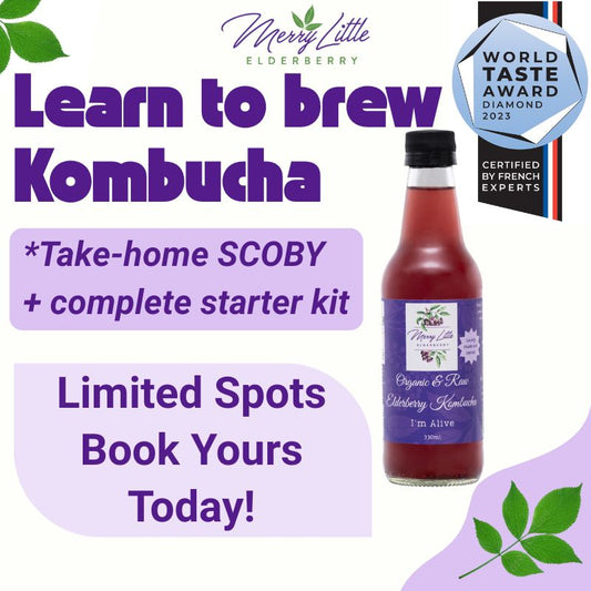 Kombucha Brewing Workshop – Learn to Brew at Home