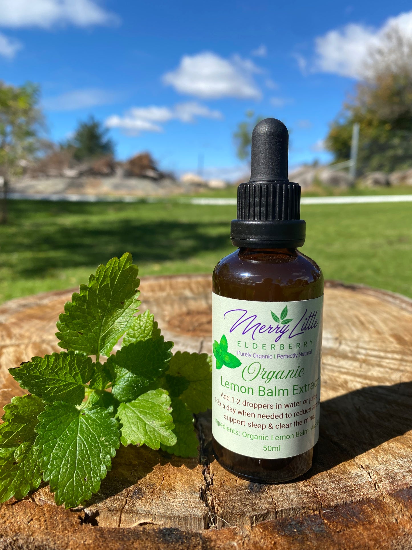 Organic Lemon Balm Extract 50ml – Calming & Sleep Support | Merry Little Elderberry