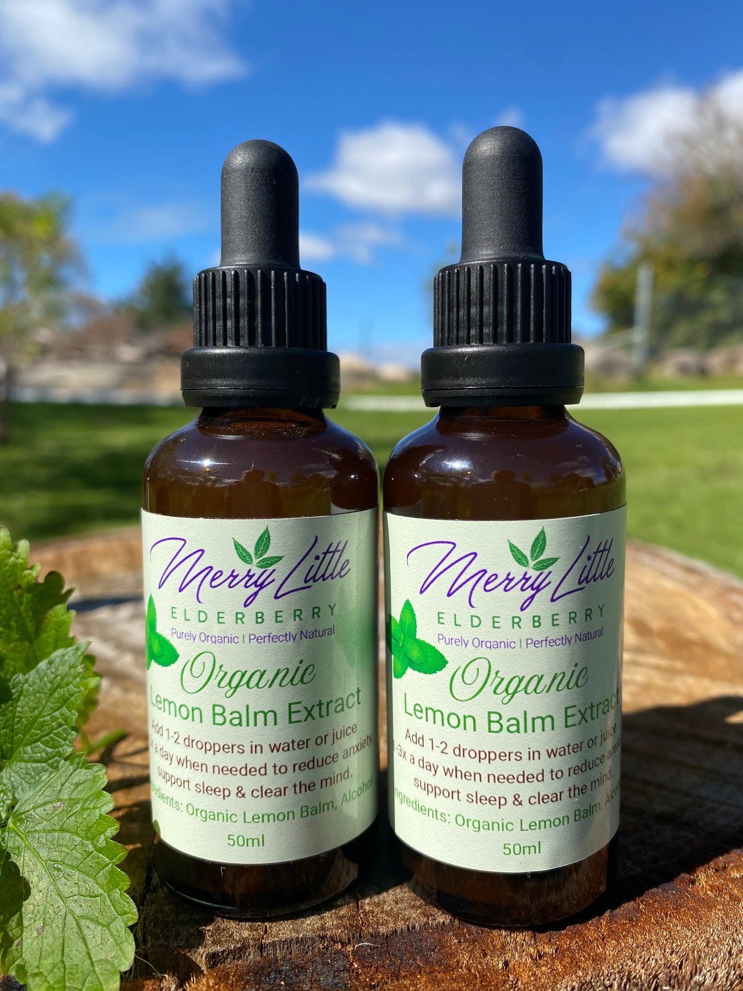 Organic Lemon Balm Extract 50ml – Calming & Sleep Support | Merry Little Elderberry