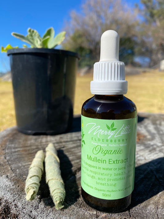 Mullein Tincture – 50ml – Herbal Respiratory Support