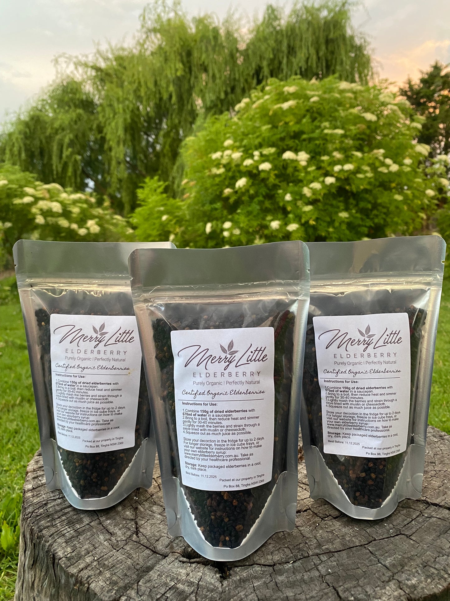 Buy Certified Organic Elderberries – 150g | Merry Little Elderberry