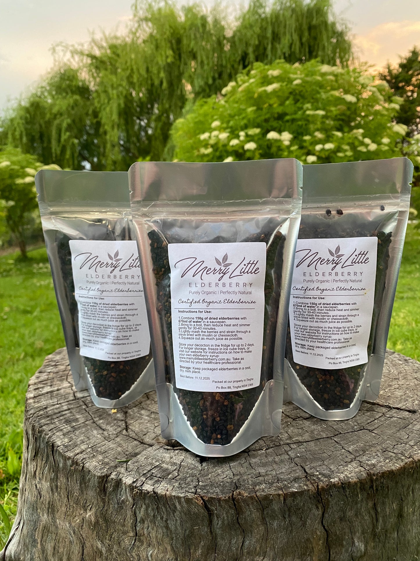 Buy Certified Organic Elderberries – 150g | Merry Little Elderberry