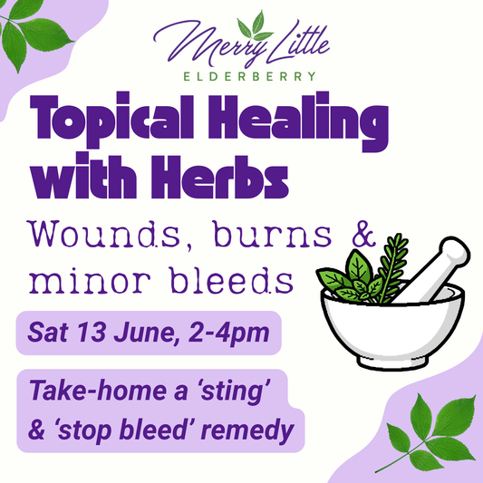 Topical Healing with Herbs Workshop – 13 June