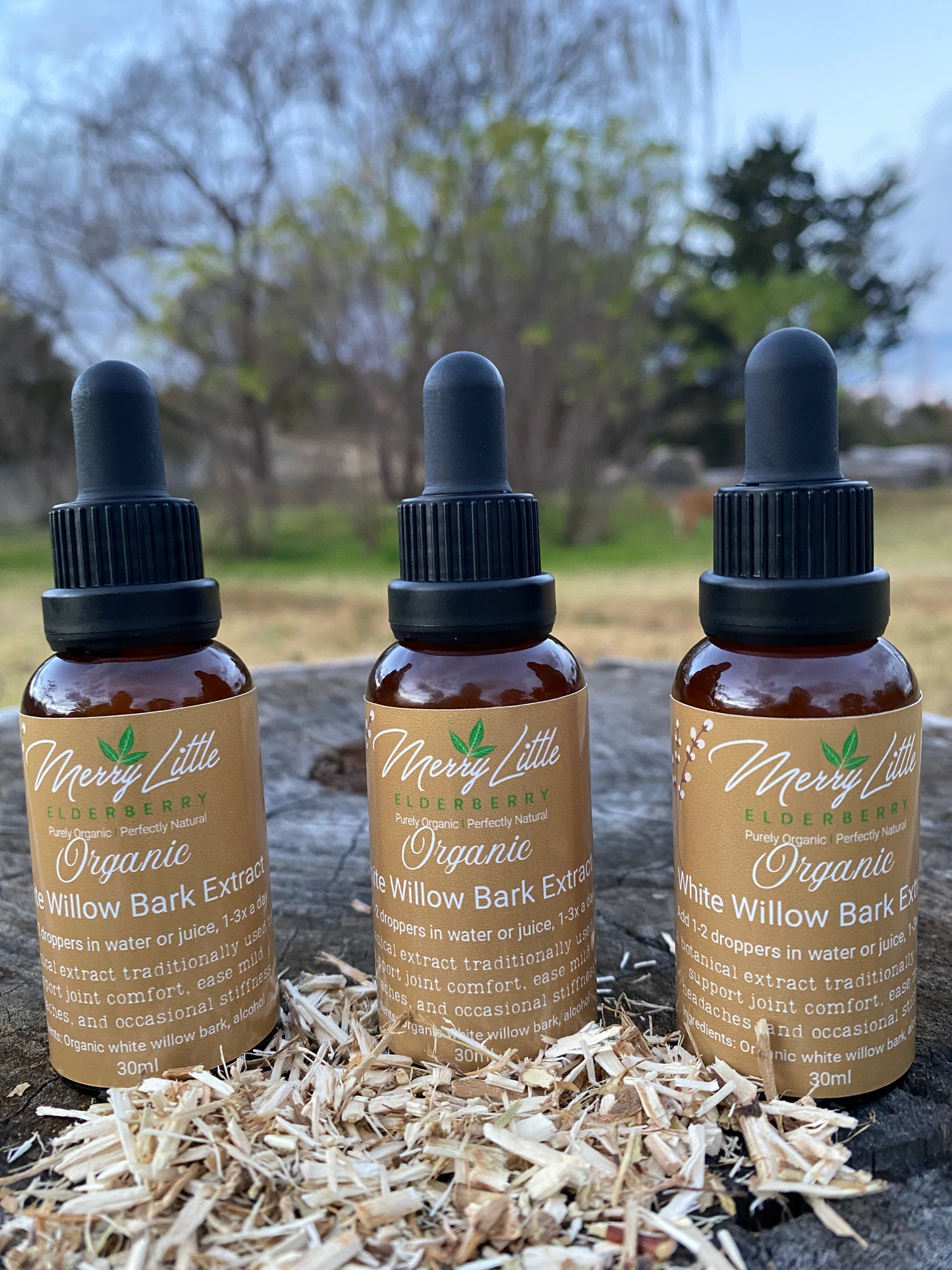 Organic White Willow Bark Extract | 30ml