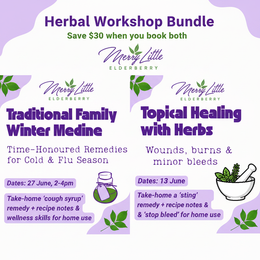 Herbal Workshop Bundle – Winter Medicine & Topical Healing – Merry Little Elderberry