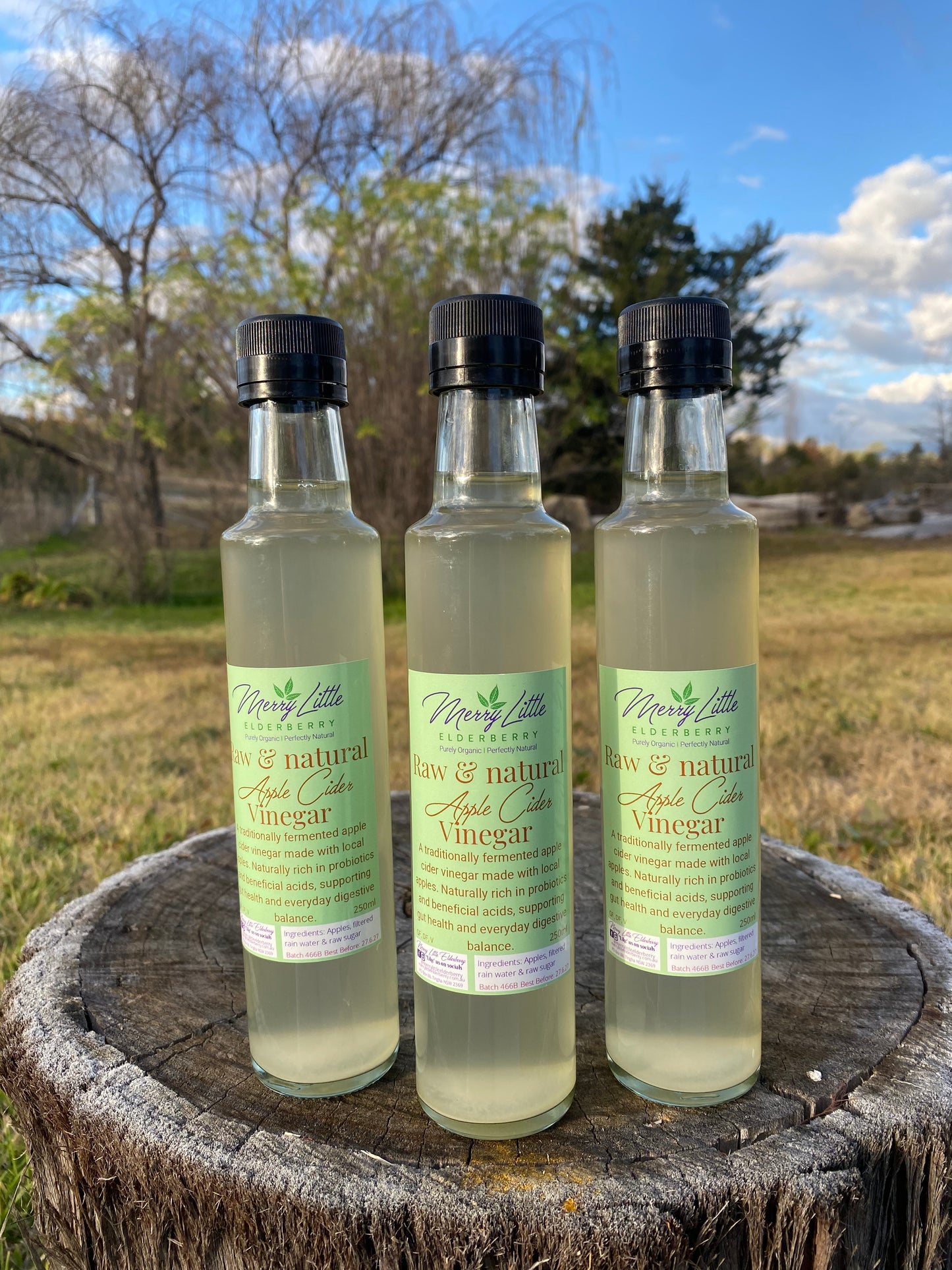 Raw & Natural Apple Cider Vinegar